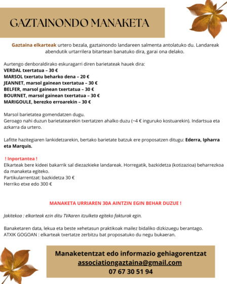 Gaztainondo landareen salmenta