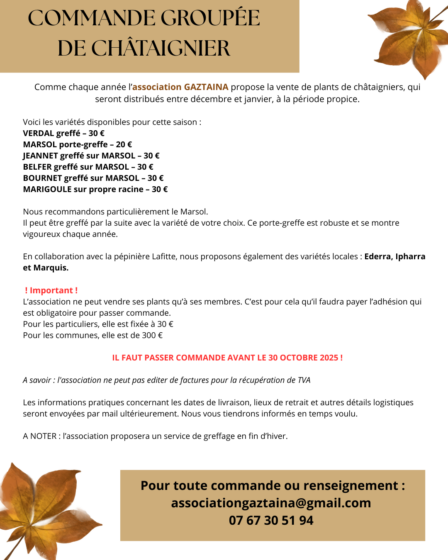 Vente de plants de chataigniers